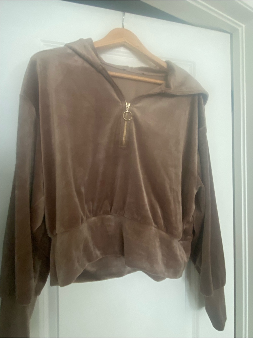 Velvet Half-Zip Hooded Pullover - Brown